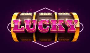 74bet com